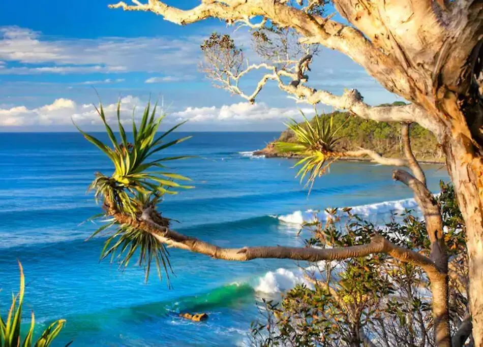 Apartment Yaringa Noosa Heads - Ocean View, Walk To Beach
